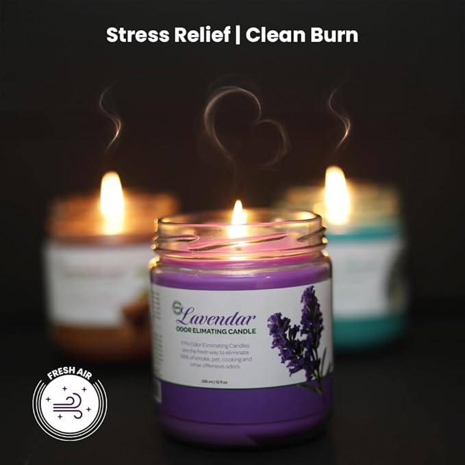 Candle Set Lavender Odor Eliminating – 2 Pack - 12oz – Long-Lasting Soy Wax Candles – Neutralizes Pet, Kitchen & Smoke Odors – Clean Burn, Eco-Friendly, Aromatherapy Candle - Bloomnest