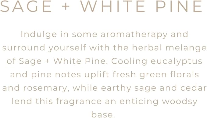 River Birch Candles Sage + White Pine Scented Candle | Premium, All-Natural, Non-Toxic, Soy Candles | 16oz 90 Hr Burn Time | Cozy Relaxing Gifts for Home - Bloomnest