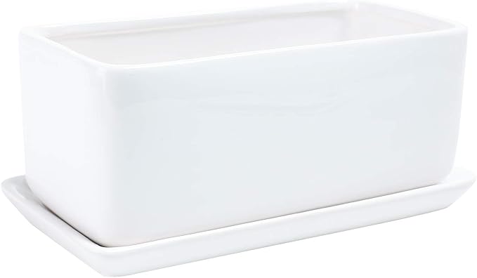 10 inch Rectangular White Ceramic Planter Pot Succulent Cactus Herb Flower Container Window Box Saucer Removable Drip Tray Base Drain Holes Home Office Indoor Outdoor Garden Desktop - Bloomnest