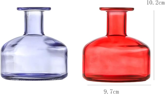 Clear Empty Glass Reed Diffuser Bottles,300ml Refillable Diffuser Bottle for Essential Oils,Aromatherapy Container for DIY Replacement Diffuser,Fragrance Decoration,Crafts Decor,Small Flower Vase Bloomnest