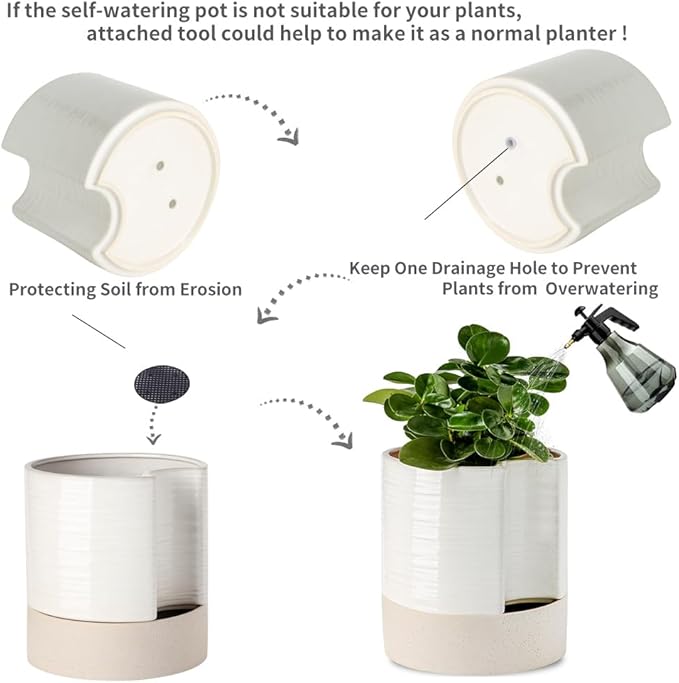 Nihow Self Watering Plant Pot: 8 Inch Ceramic Planter with Drainage Hole & Water Storage Plus for Indoor & Outdoor Plants - Cylinder Round Flower Pot for Succulent/Herbs/Violets - Cream White & Brown - Bloomnest