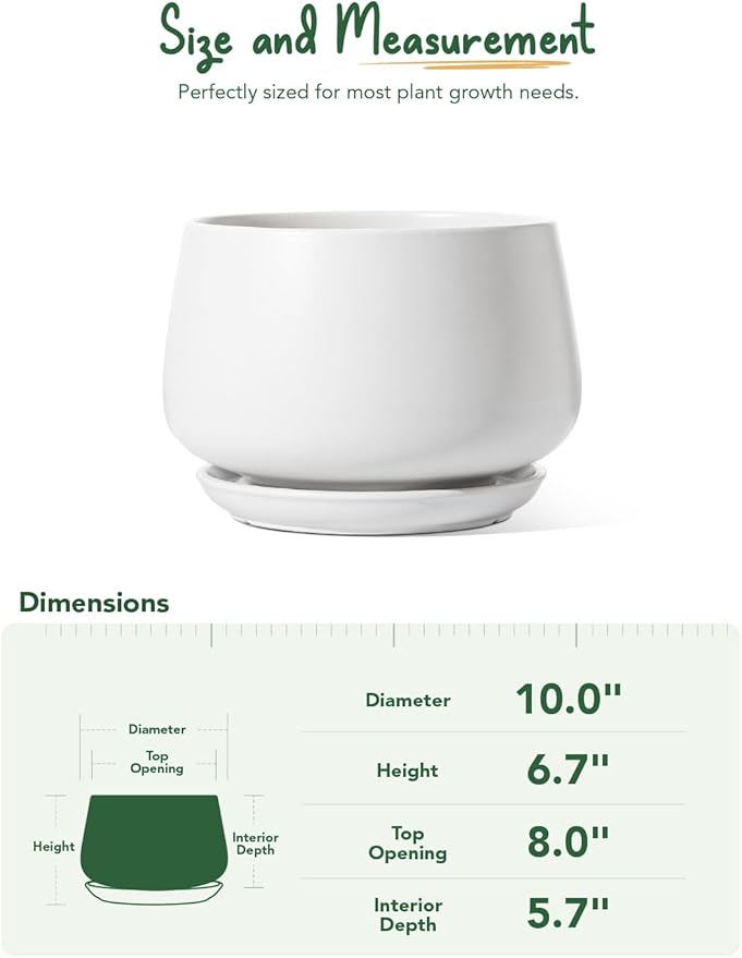 LE TAUCI Ceramic Planter, 10 Inch Plant Pot with Drainage Hole & Saucer – Durable Indoor Planter for Modern Home Decor, White - Bloomnest