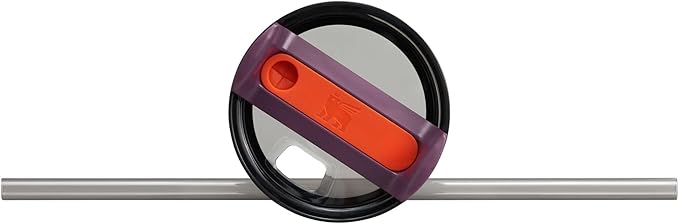 STANLEY Quencher H2.0 Tumbler with Handle and Straw 30 oz | Flowstate 3-Position Lid | Cup Holder Compatible for Travel | Insulated Stainless Steel Cup | BPA-Free | Plum - Bloomnest
