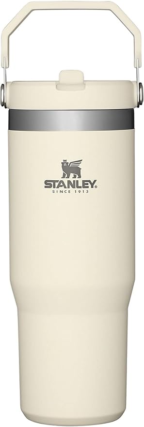 STANLEY IceFlow Flip Straw Tumbler with Handle 30 oz | Twist On Lid and Flip Up Straw | Leak Resistant Water Bottle | Insulated Stainless Steel |BPA-Free | Citron - Bloomnest