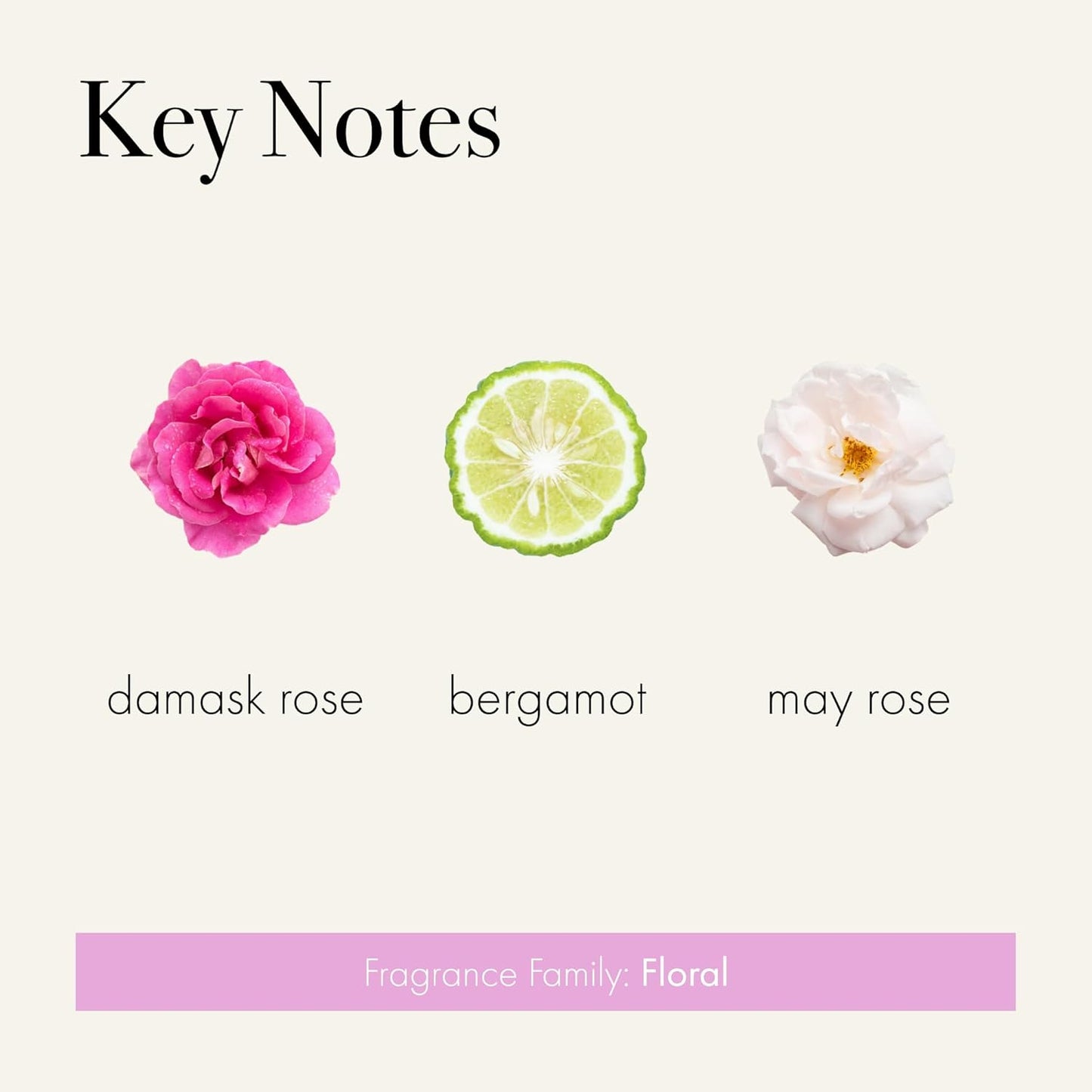 LAFCO New York Signature Candle, Blush Rose - 15.5 oz - 90-Hour Burn Time - Reusable, Hand Blown Glass Vessel - Made in The USA