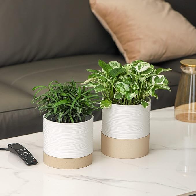 Nihow Self Watering Plant Pot: 6 Inch Ceramic Planter with Drainage Hole & Water Storage Plus for Indoor & Outdoor Plants - Cylinder Round Flower Pot for Succulent/Herbs/Violets - White & Brown - Bloomnest