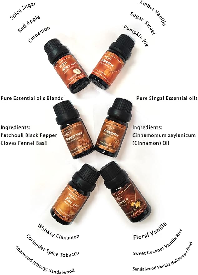 HIQILI Spice Fragrance Oil, Scented Oil 6x10ml for Candle Making Soap Slime, Fall Essential Oils for Diffuser Home, Cinnamon Pumpkin Vanilla Apple Cider Harvest Spice Fall Leaf, Christmas (Pack of 2) - Bloomnest