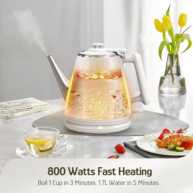 Hazel Quinn Electric Kettle - 1L/34oz Small Tea Kettle, 800W Fast Boil, All 304 Stainless Steel Interior, Double Wall for Cool Touch and Thermal, Auto Shut-Off, BPA-Free, Cordless - Pearl White - Bloomnest