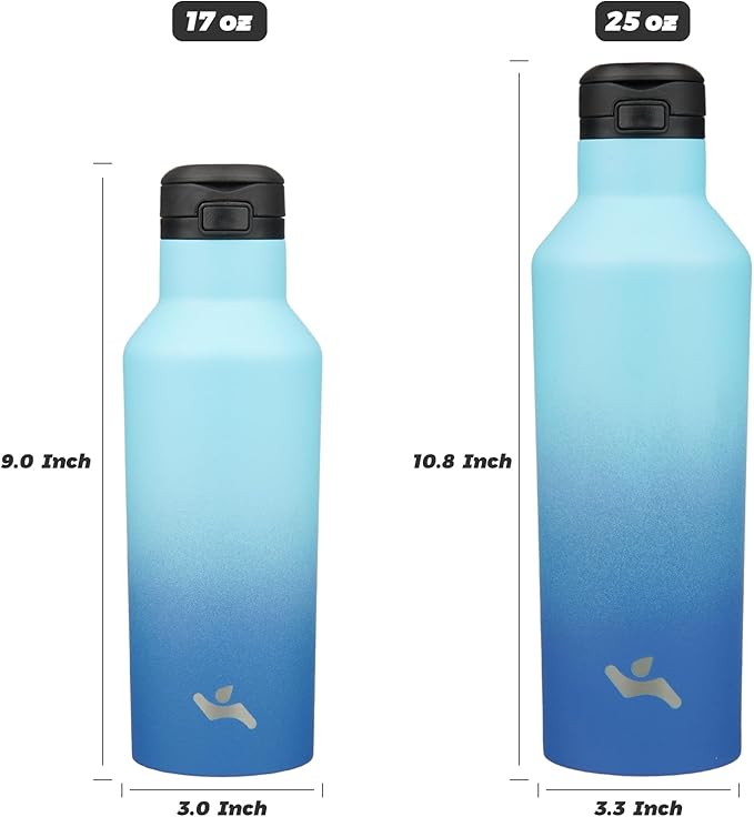 Insulated Water Bottle with Straw,25 OZ Double Wall Vacuum Stainless Steel Water Flask with 2 Lids,Sky - Bloomnest