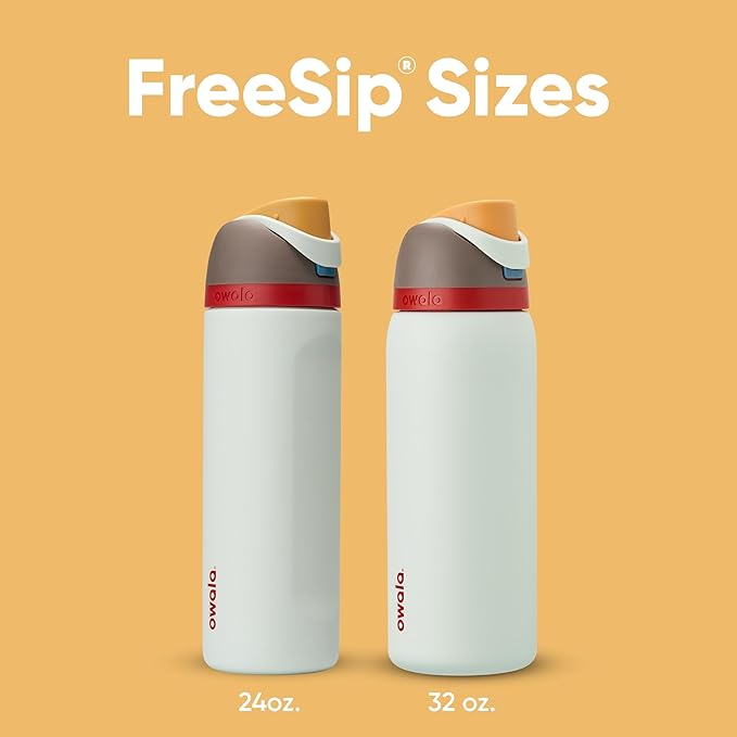 Owala FreeSip Insulated Stainless Steel Water Bottle with Straw for Sports, Travel, and School BPA-Free Sports Water Bottle, 32 oz, Boneyard (Pack of 6) Owala