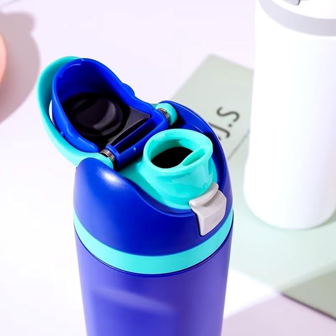 DUTHINGS Insulated Stainless Steel Water Bottle with Straw, 24 oz – Leakproof, BPA-Free Reusable Sports & Travel Bottle with Replacement Straw and Cleaning Brush (Blue) Bloomnest