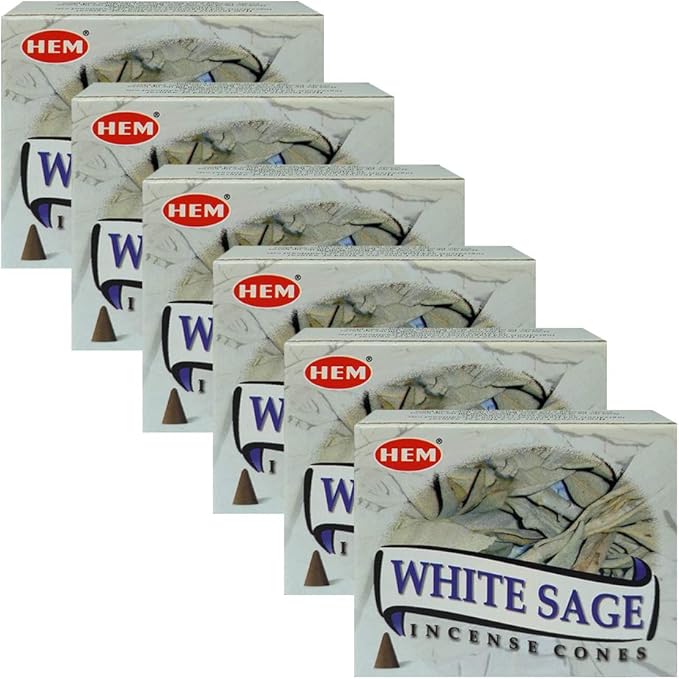 TRUMIRI Incense Cone Holder Bundle with Hem White Sage Incense Cones - Pack of 6 (Approx 60 Cones) TRUMIRI