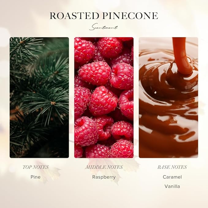 Scentiment Diffuser Oil - Roasted Pine Cone Fall Collection | Aromatherapy Home Fragrance | Luxurious Scent with Notes of Pine, Raspberry, Caramel (120ml) Scentiment