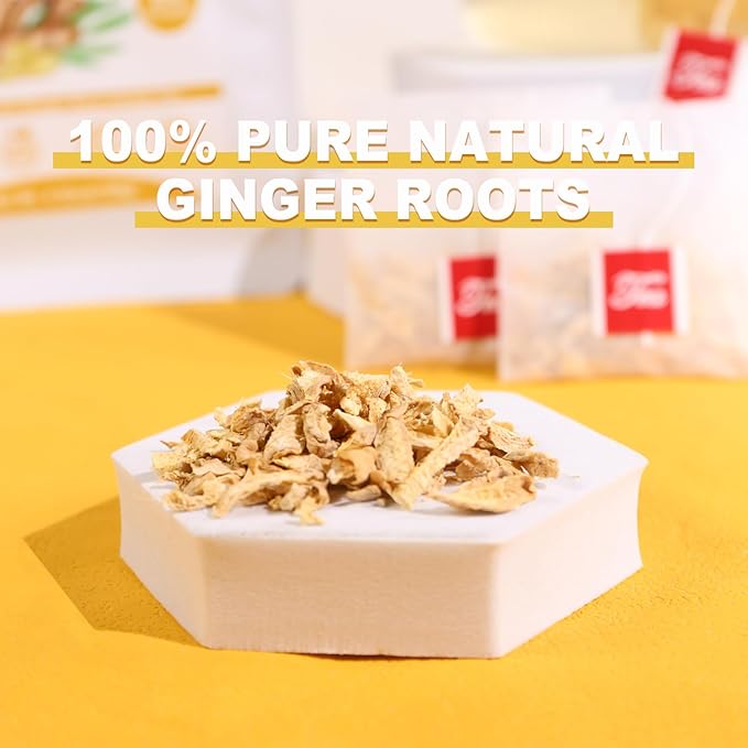 TEARELAE - Ginger Tea Bags, 64 Count - 100% Pure Ginger Root Tea, Soothing & Spicy - Non-GMO - Caffeine-free - Aid Digestion & Support Respiratory - Bloomnest