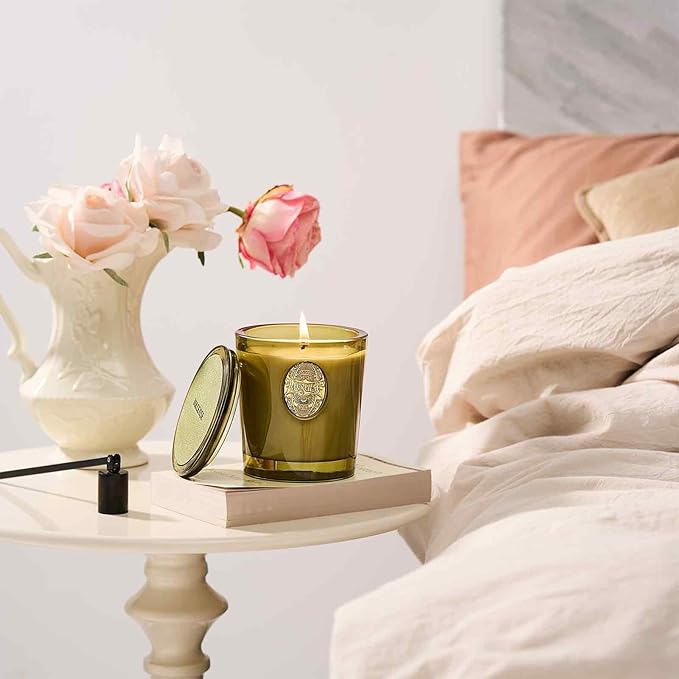 M&SENSE Natural Soy Candle | Forest Cabin & Green | 9.2 oz, 50H Burn Time | Luxury Scented Candle for Relaxation, Gifting, Home Décor | Ideal for Bedroom, Office, Party Ambiance - Bloomnest