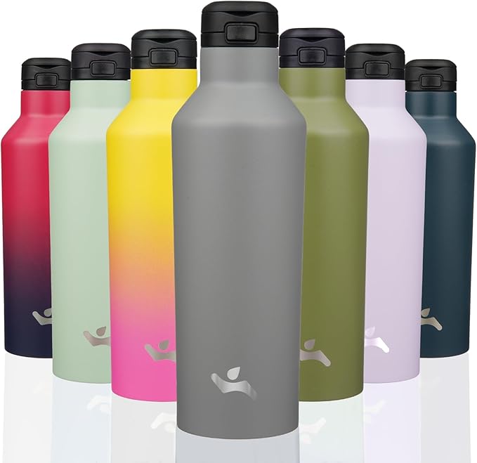 Insulated Water Bottle with Straw,25 OZ Double Wall Vacuum Stainless Steel Water Flask with 2 Lids,Grey - Bloomnest