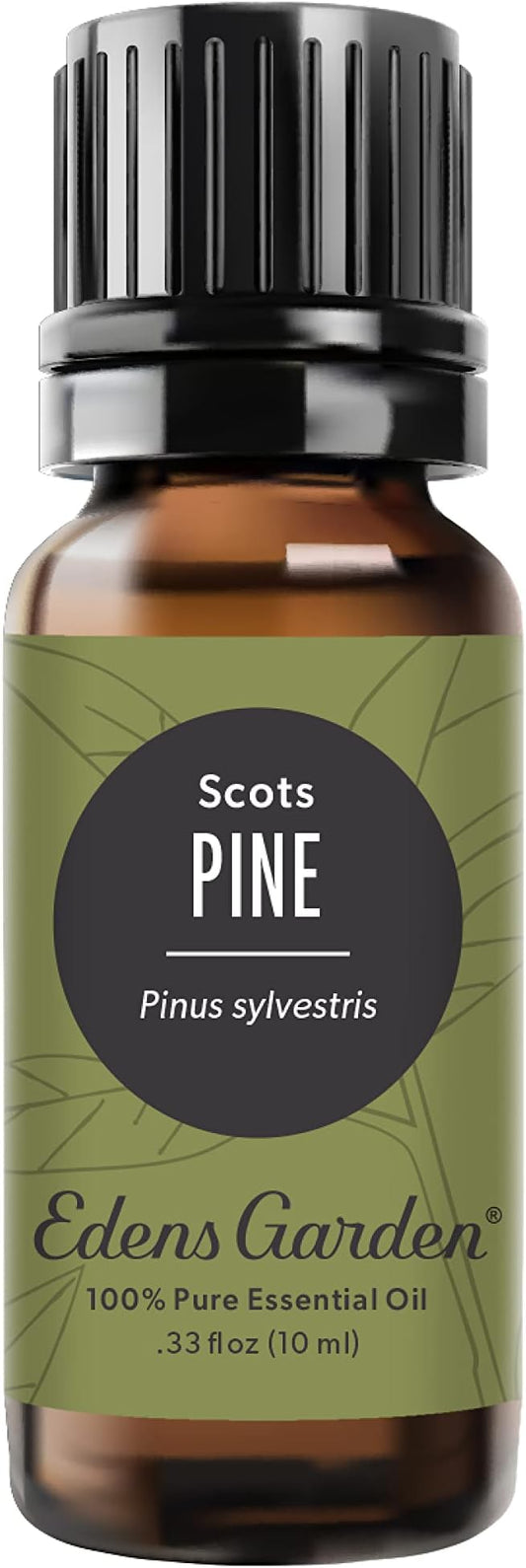 Edens Garden Pine- Scots Essential Oil- 100% Pure Premium Grade, Undiluted, Natural, Therapeutic, Aromatherapy, The Best for Diffuser, Candle, Humidifiers, Kid Safe 10 ml (.33 fl oz) - Bloomnest
