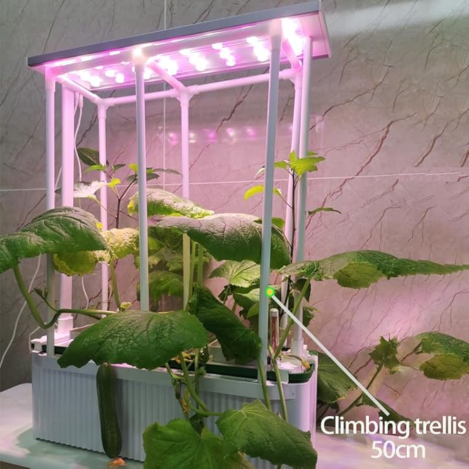 Large Hydroponics Growing System kit with Trellis,Smart Indoor Hydroponic Gardening System with LED Grow Light, Indoor Hydroponic Grow Kit for Tomato,Pepper,Cucumbers(7L,Pump) - Bloomnest