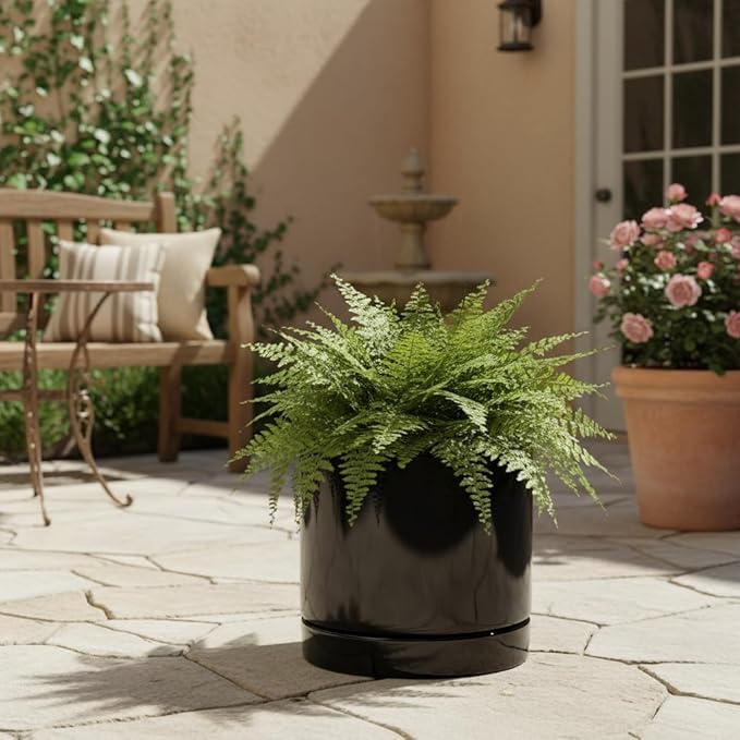 Aveyas 8 inch Ceramic Plant Pot with Drainage Hole and Saucer - Suitable for Indoor and Outdoor Use, Modern Planters for House Garden Flower Tree Snake Monstera Plants (8", Glossy Black) - Bloomnest