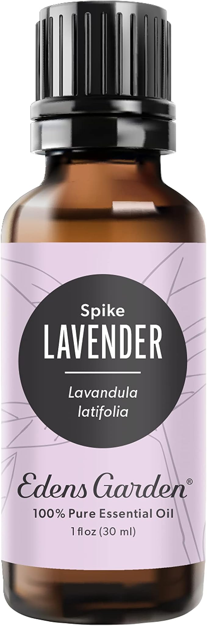 Edens Garden Lavender- Spike Essential Oil- 100% Pure Premium Grade, Undiluted, Natural, Therapeutic, Aromatherapy, The Best for Diffuser, Candle, Laundry, Humidifiers 30 ml (1 fl oz) EdensGarden