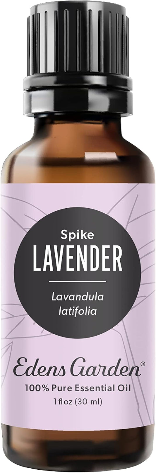 Edens Garden Lavender- Spike Essential Oil- 100% Pure Premium Grade, Undiluted, Natural, Therapeutic, Aromatherapy, The Best for Diffuser, Candle, Laundry, Humidifiers 30 ml (1 fl oz) EdensGarden