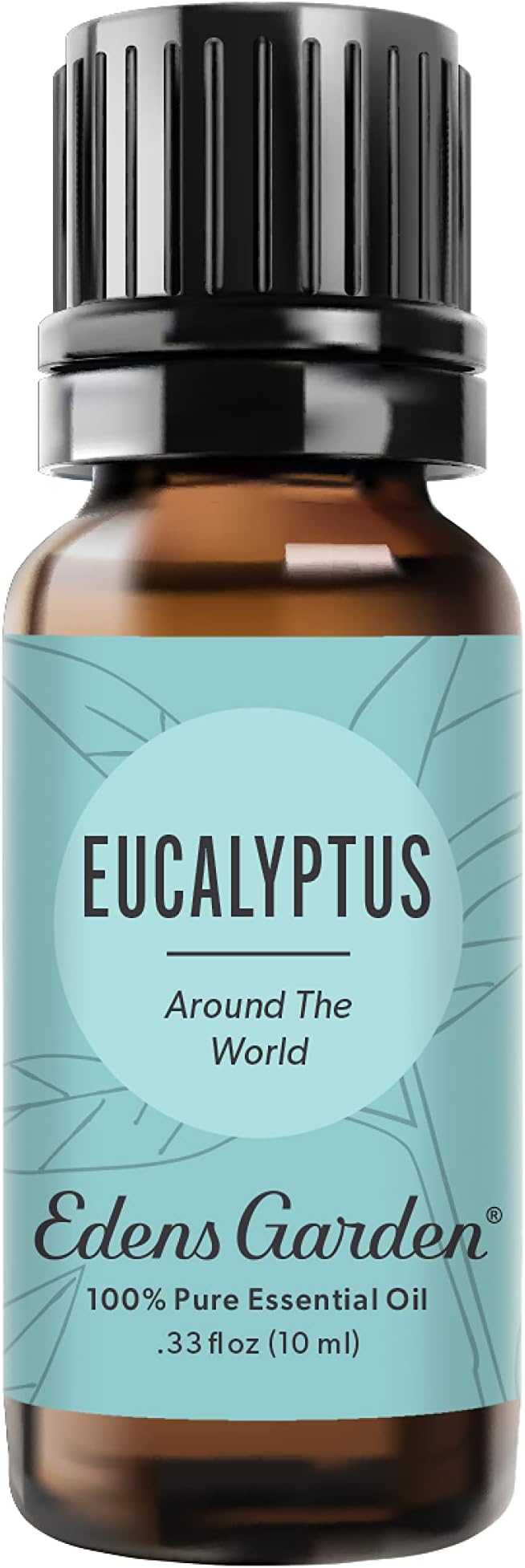 Edens Garden Eucalyptus Around The World Essential Oil, 100% Pure Therapeutic Grade (Undiluted Natural/Homeopathic Aromatherapy Scented Essential Oil Singles) 10 ml - Bloomnest