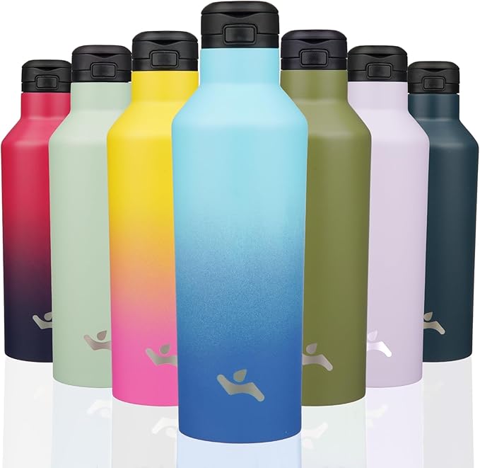 Insulated Water Bottle with Straw,25 OZ Double Wall Vacuum Stainless Steel Water Flask with 2 Lids,Sky - Bloomnest