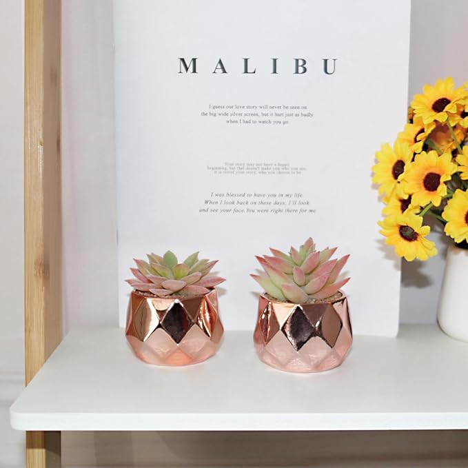 Tiita Artificial Faux Succulents in Pots, Mini Rose Gold Fake Plants for Women Desk, Small Realistic Faux Succulents for Home Office Accessories Window Sill Bathroom Bedroom, Rose Gold - Bloomnest