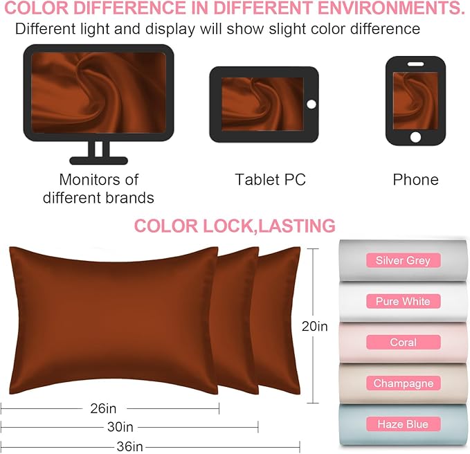 Mulberry Silk Pillow Cases 2 Pack Queen Size 20x30 Inches with Hidden Zipper, Ultra Smooth and Soft Breathable Cooling Silk Satin Pillowcase Set of 2, Better for Hair and Skin, Gifts for Women Men - Bloomnest