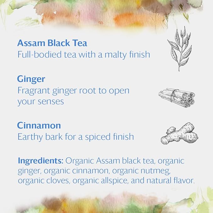 Grace Farms Organic Classic Chai Black Tea, 16 Pyramid Sachets | Ginger & Spices | Fairtrade & Kosher |Gives Back 100% of Profits - Bloomnest