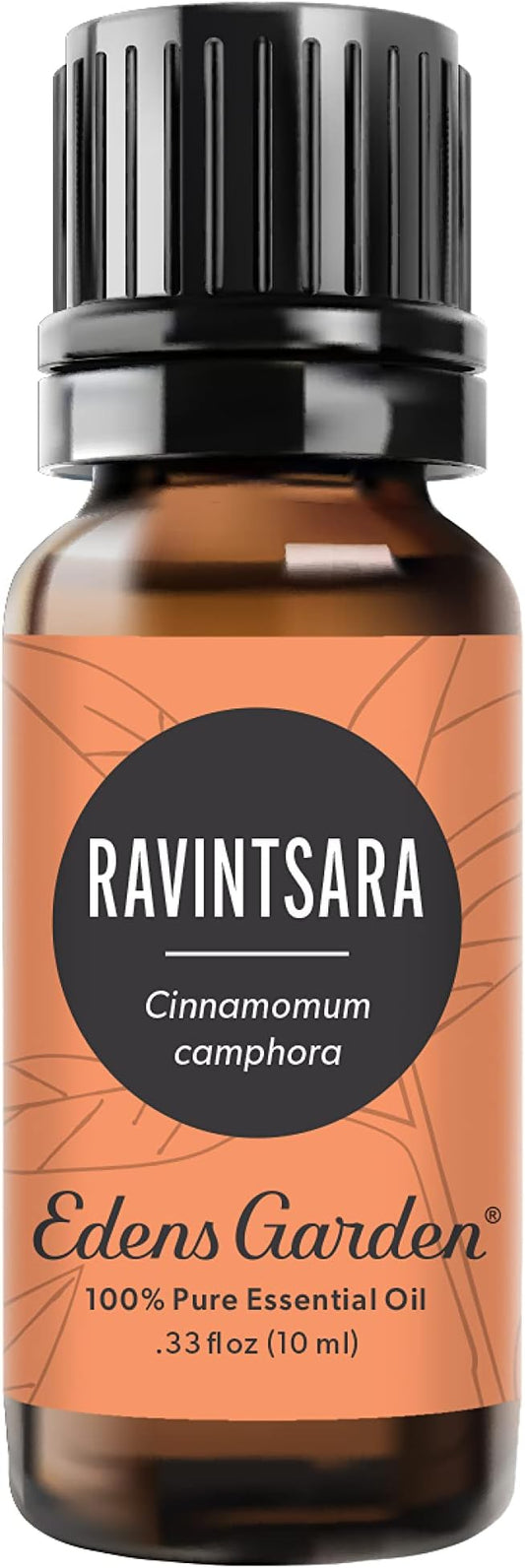 Edens Garden Ravintsara Essential Oil- 100% Pure Premium Grade, Undiluted, Natural, Therapeutic, Aromatherapy, The Best for Diffuser, Candle, Laundry, Humidifiers 10 ml (.33 fl oz) - Bloomnest