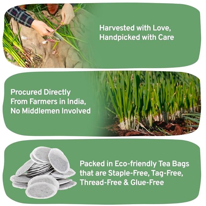 HANDPICK, Lemongrass Tea Bags (100 Count) Non-GMO, Caffeine Free - Quality Lemongrass Herbal Tea- Eco-conscious Round Tea Bags | Brew Hot or Iced Tea - Bloomnest