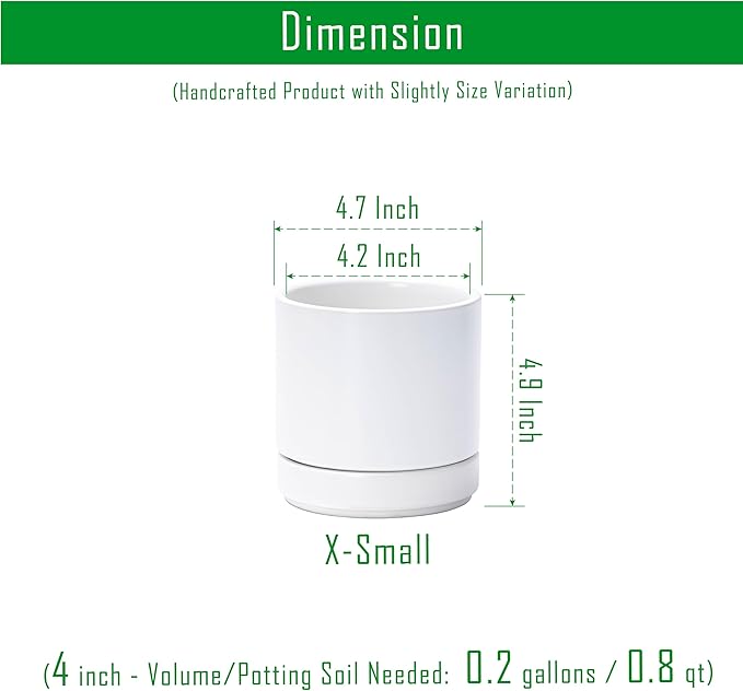 D'vine Dev Set of 2 Plants Pot, 4.7 Inch Ceramic Planter Pot for Plants with Drainage Hole and Saucer, White, 94-V-B-1 - Bloomnest