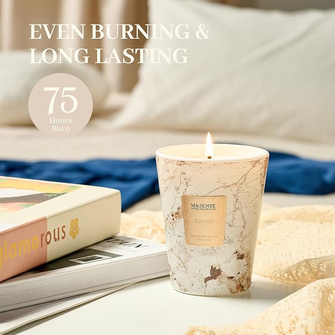 M&SENSE Santal Scented Candles for Home, Lead-Free Wick Highly Scented Jar Candles, 14.1 Oz 80 Hours Lasting Burning Candles Gifts for Women, Relaxing Aromatherapy Candle for Stress Relief - Bloomnest