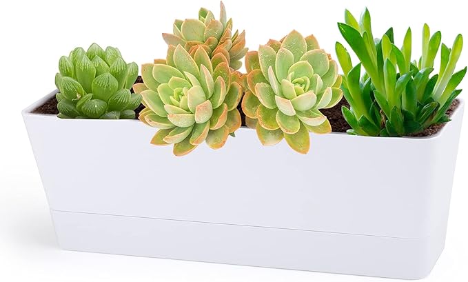 GREANER Herb Planter with Tray, 1 Pack 12x3.8 Inch Rectangle Window Box, Indoor Succulent Flowers Succulent Plastic Pot for Windowsill, Garden, Balcony, Office Outdoor Decoration - White - Bloomnest
