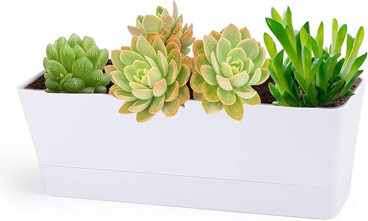 GREANER Herb Planter with Tray, 1 Pack 12x3.8 Inch Rectangle Window Box, Indoor Succulent Flowers Succulent Plastic Pot for Windowsill, Garden, Balcony, Office Outdoor Decoration - White - Bloomnest