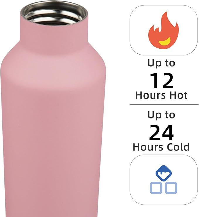 Insulated Water Bottle with Straw,25 OZ Double Wall Vacuum Stainless Steel Water Flask with 2 Lids,Pink - Bloomnest