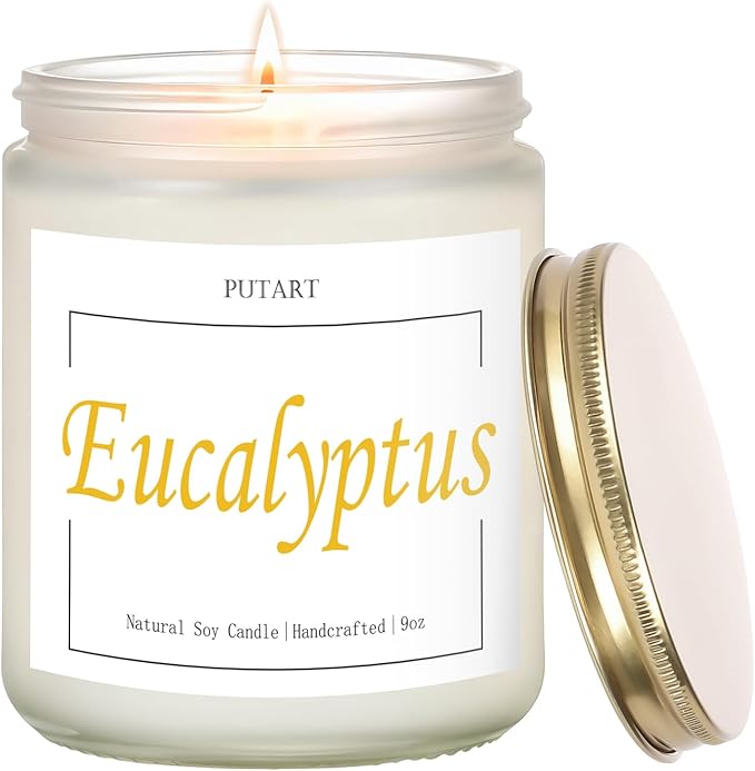 Eucalyptus Mint Highly Scented Candles, Natural Soy Aromatherapy Organic Non Toxic Candles with Long Lasting Burn, Luxury Essential Fragrance Jar Candle Gift for Birthday, Housewarming (9oz) - Bloomnest