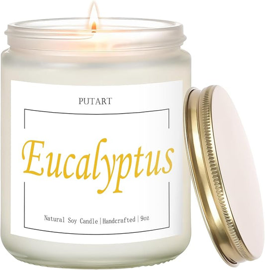 Eucalyptus Mint Highly Scented Candles, Natural Soy Aromatherapy Organic Non Toxic Candles with Long Lasting Burn, Luxury Essential Fragrance Jar Candle Gift for Birthday, Housewarming (9oz) - Bloomnest