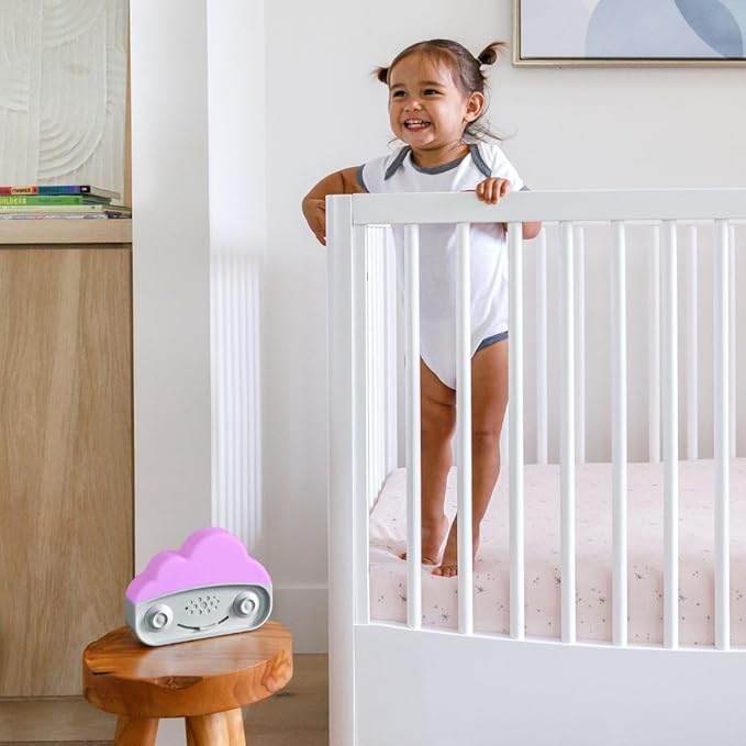 Happiest Baby SNOObie Smart White Noise Machine - Portable Baby Sound Machine with Night Light - 12 Soothing Sounds for Sleep Training, Grey - Bloomnest
