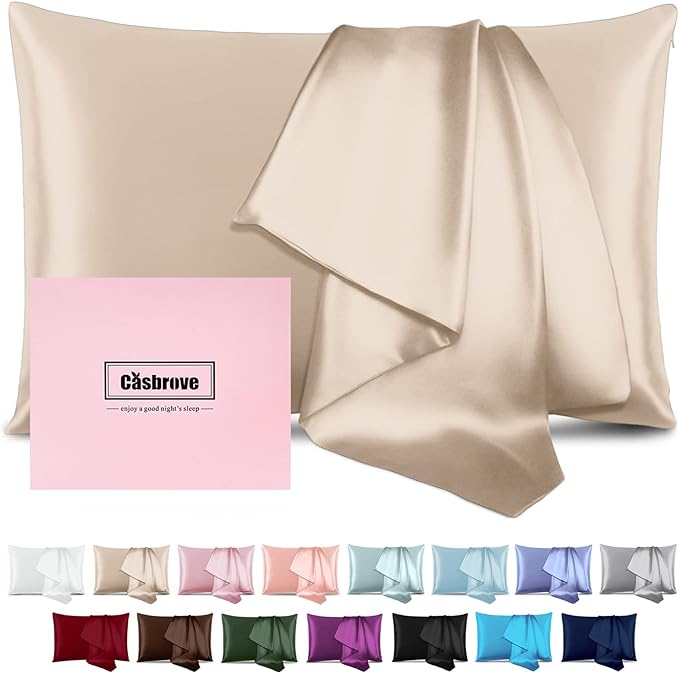 Silk Pillow Cases for Hair and Skin Mulberry Silk Pillowcase Soft Breathable Smooth Both Sided Natural Silk Pillowcase with Zipper Beauty Sleep Silk Pillow Case 1 Pack for Gift (Queen, Champagne) - Bloomnest