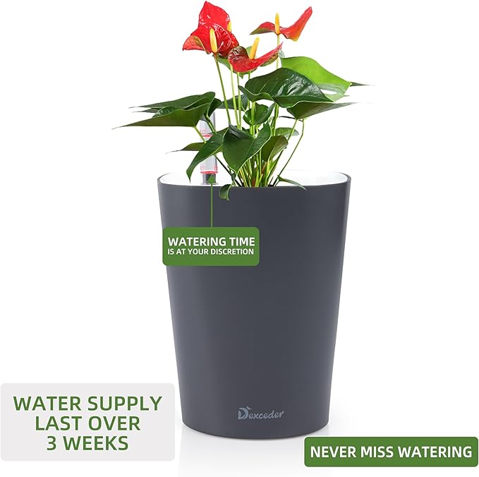 Dexceder 6x7 Self Watering Planter Indoor Outdoor, Matte Table Flower Plant Pot with Water Level Indicator (Slate Gray) - Bloomnest