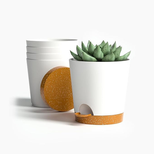 4 inch Small Plant Pots for Outdoor Indoor Plants, 5 Pack Planters with Drainage Holes and Tray, Small Self Watering Pots for Succulent,Cactus, Aloe and Other Plants (White) - Bloomnest