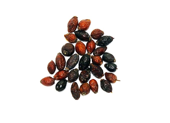 Whole Rosehips | Wild Harvest from Eastern Europe - Bloomnest