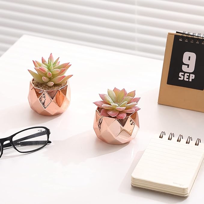 Tiita Artificial Faux Succulents in Pots, Mini Rose Gold Fake Plants for Women Desk, Small Realistic Faux Succulents for Home Office Accessories Window Sill Bathroom Bedroom, Rose Gold - Bloomnest