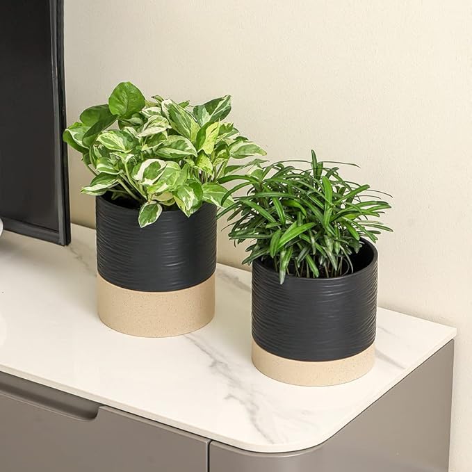 Nihow Ceramic Plant Pot: 6 Inch Planter with Drainage Hole & Saucer for Indoor & Outdoor Plants - Cylinder Round Flower Pot for Succulent/Herbs/Violets - Black & Brown - Bloomnest