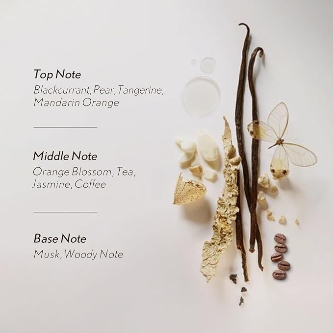 JCLOUD Velvet Noir Essential Oil for Scent Air Machine | Home Luxury and Hotel Scents for Diffuser - Pure Aromatherapy Diffuser Oil with Blackcurrant, Jasmine and Musk - 100mL JCLOUD
