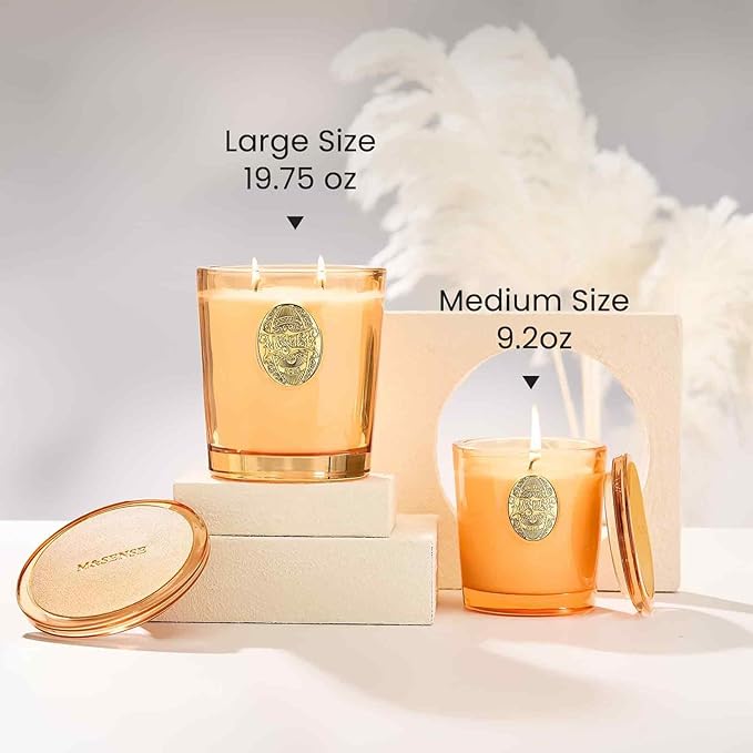 M&SENSE Large Two-Wick Soy Candle | Pumpkin Apple Pie & Orange | 19.8 oz, 120H Burn Time | Luxury Scented Candle for Relaxation, Gifting, Home Décor | Ideal for Bedroom, Office, Party Ambiance - Bloomnest