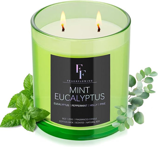 Mint Eucalyptus Scented Candle, 2-Wick Luxury Soy Wax Candle, 9 oz Aromatherapy Candle Home Fragrance Candles Gift - Bloomnest