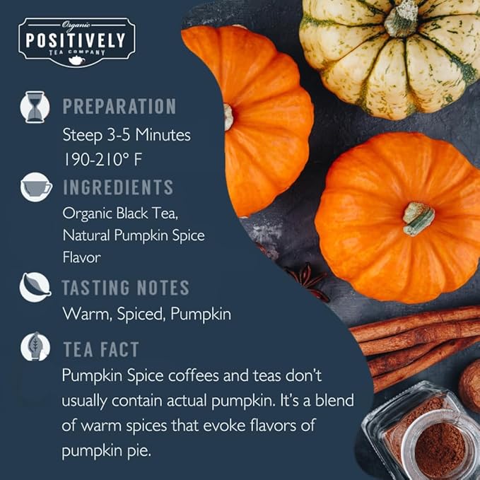 Organic Positively Tea Company, Pumpkin Spice Black Tea Bags, 20 Count - Bloomnest